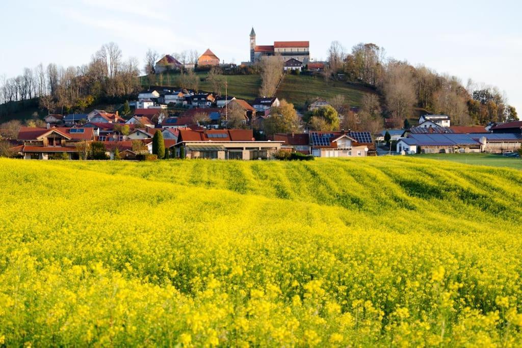 Ferienwohnung Anita Jandelsbrunn Kültér fotó