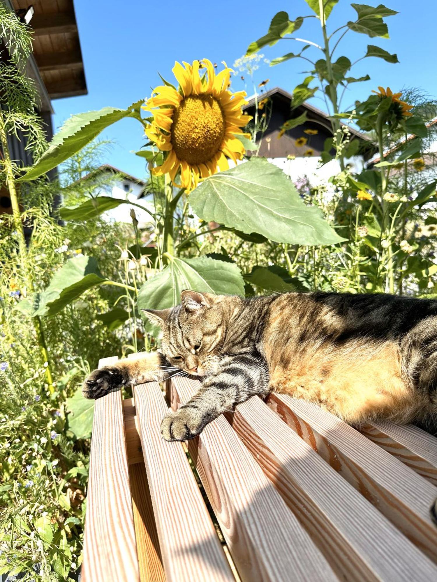 Ferienwohnung Anita Jandelsbrunn Kültér fotó